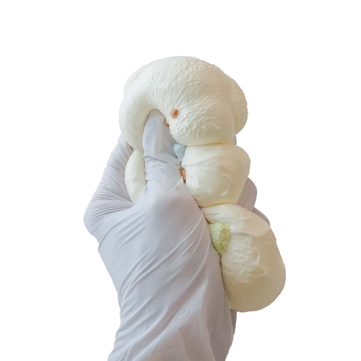 Snowball puppy Taba Squishy