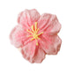 Sakura biscuits Taba Squishy