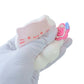 Fortune cat Taba Squishy