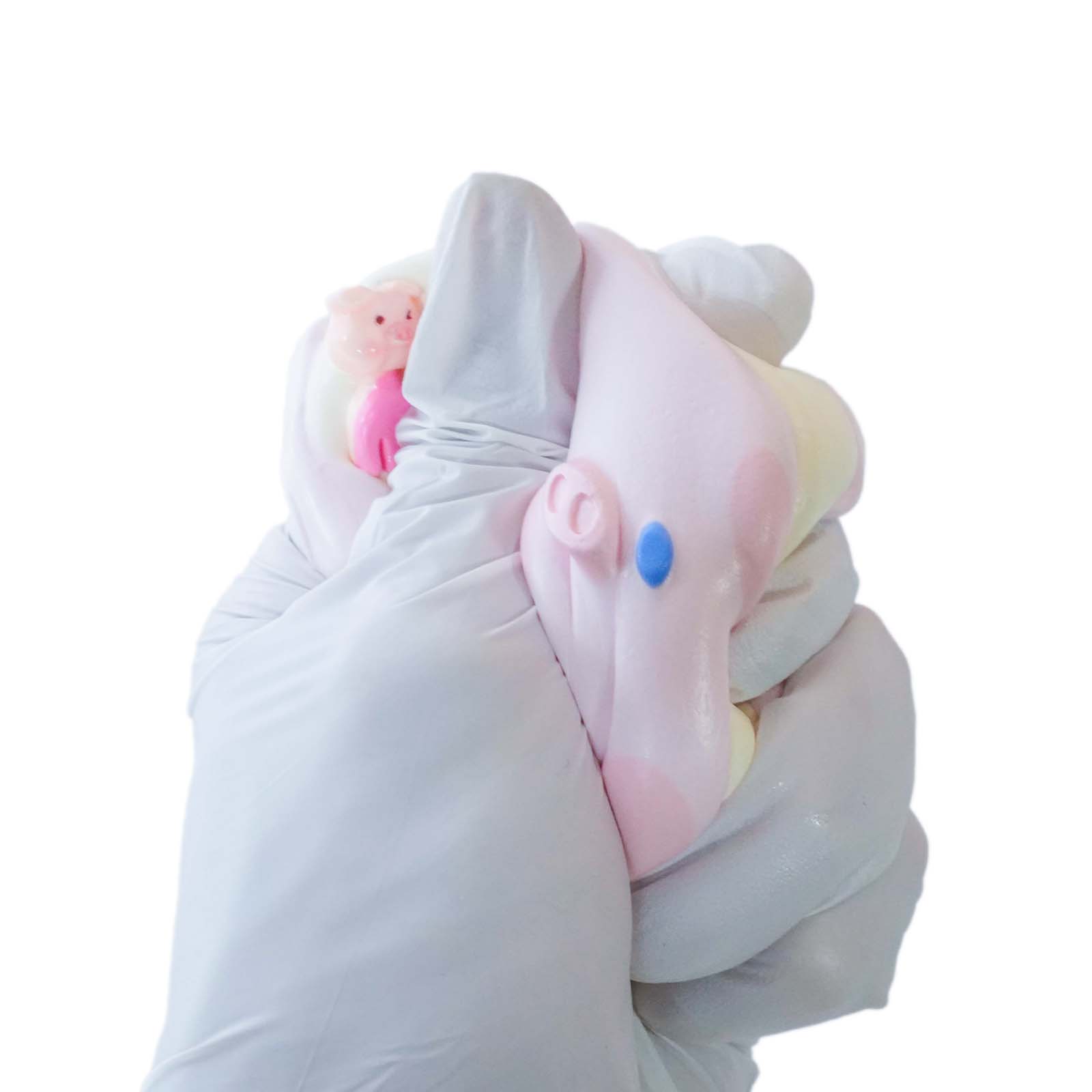 Soap piggy Taba Squishy