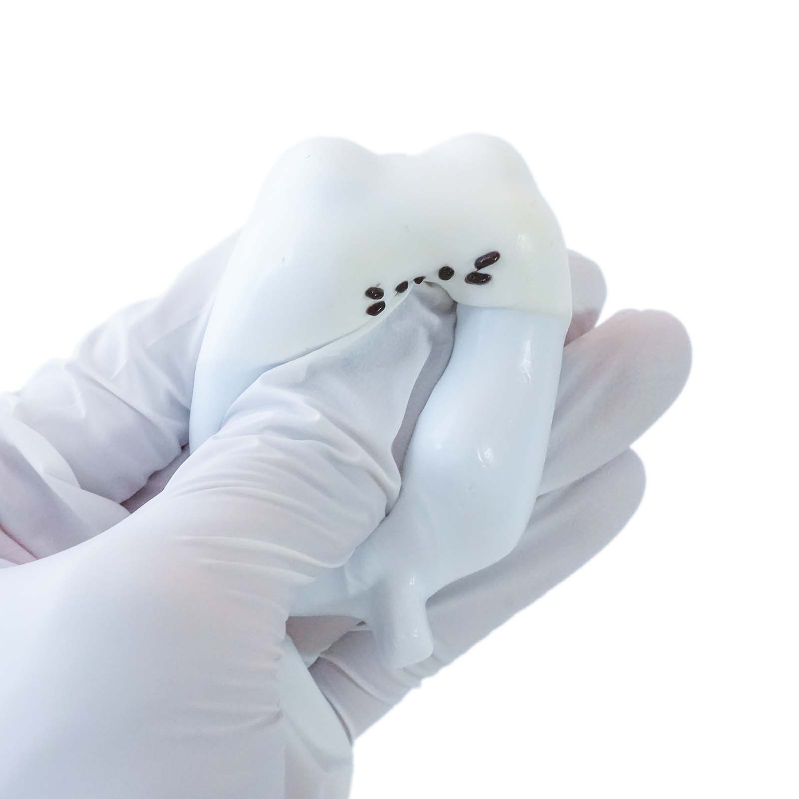 Kitten popsicle Taba Squishy