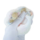 Mini Paw Taba Squishy