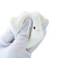 Chacha bun Taba Squishy