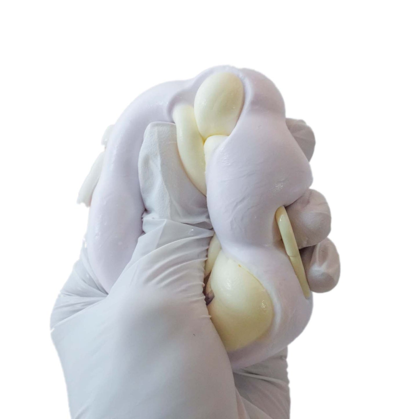 Lavender Paws Taba Squishy