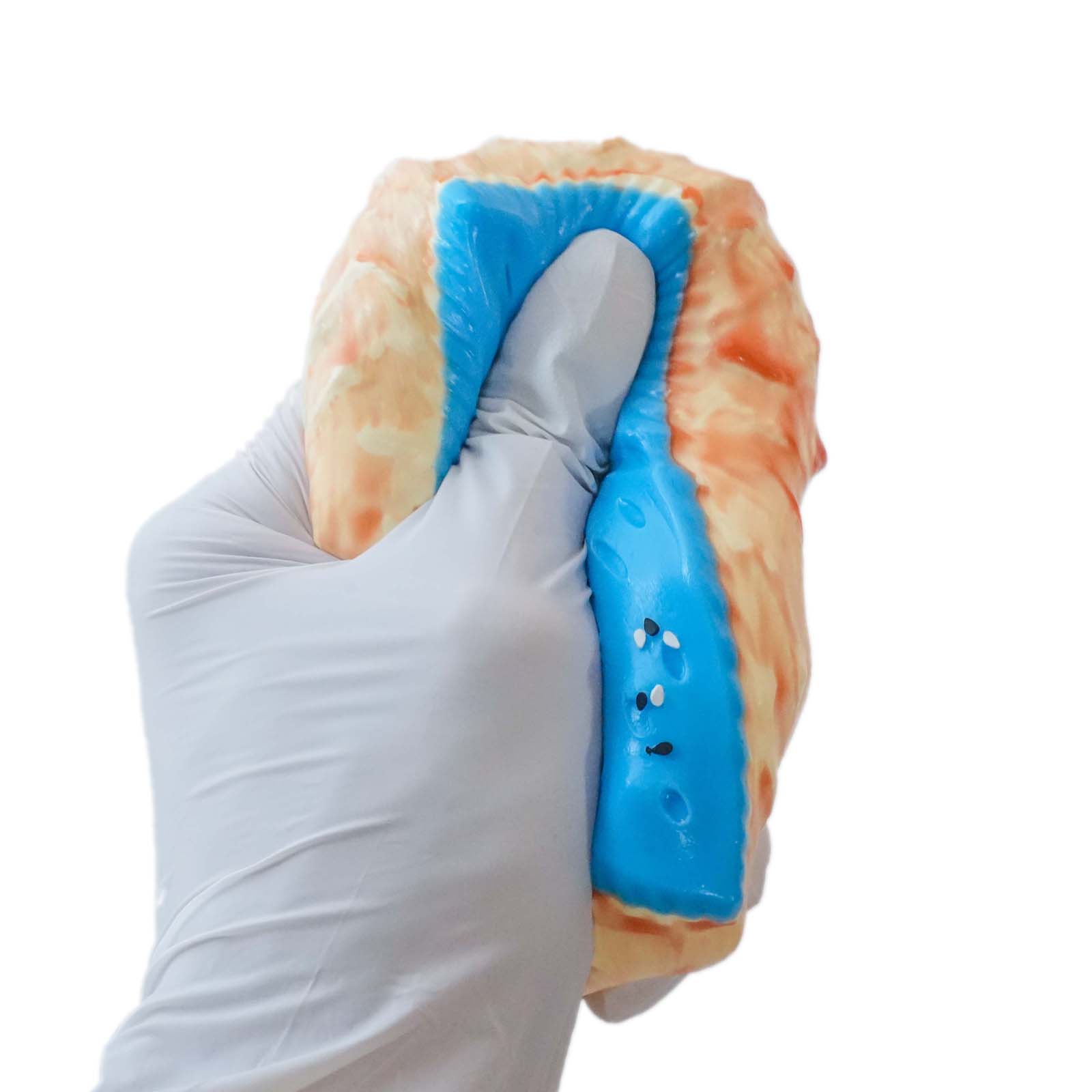 Blue Frosted Cookie Taba Squishy