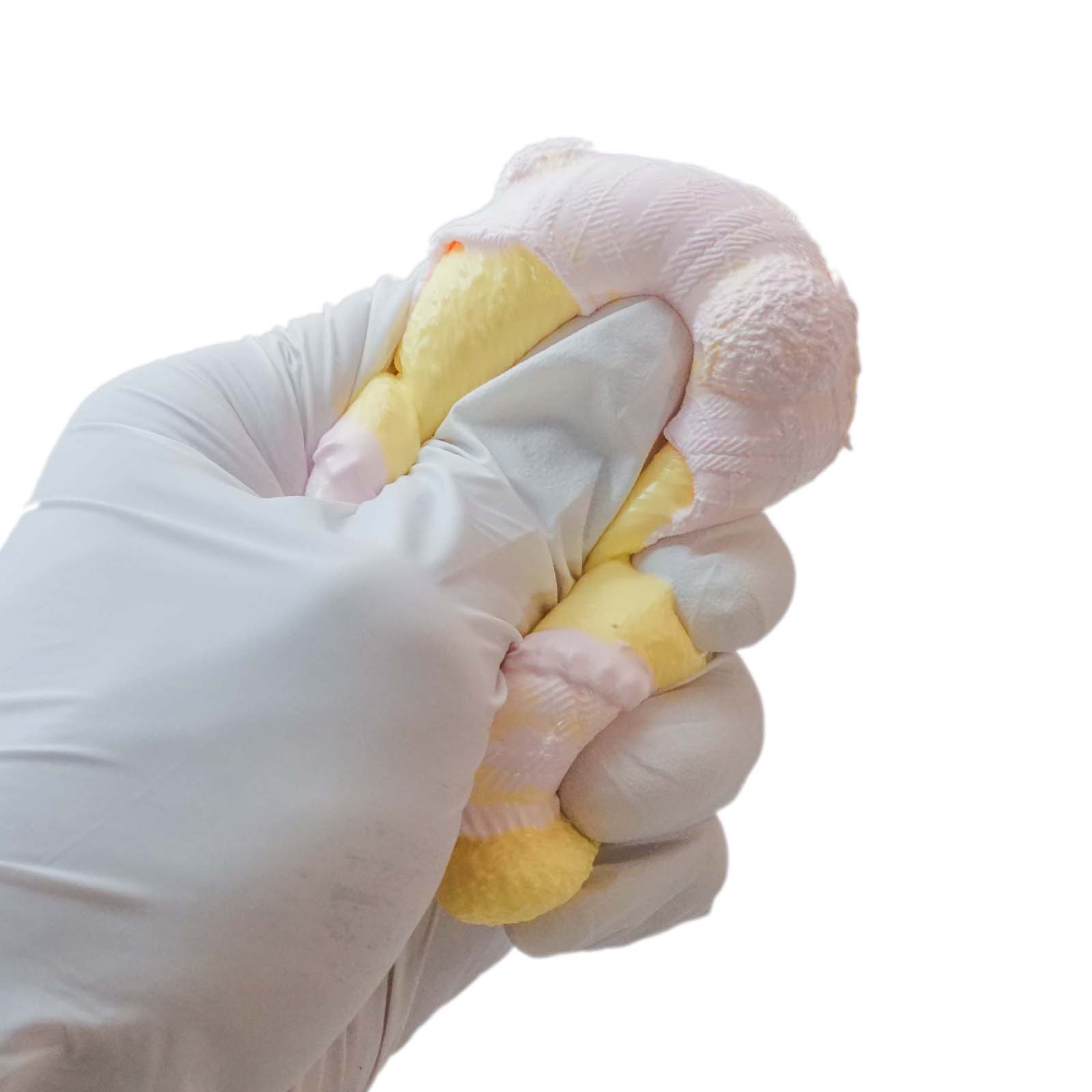 creamy yellow bear Taba Squishy