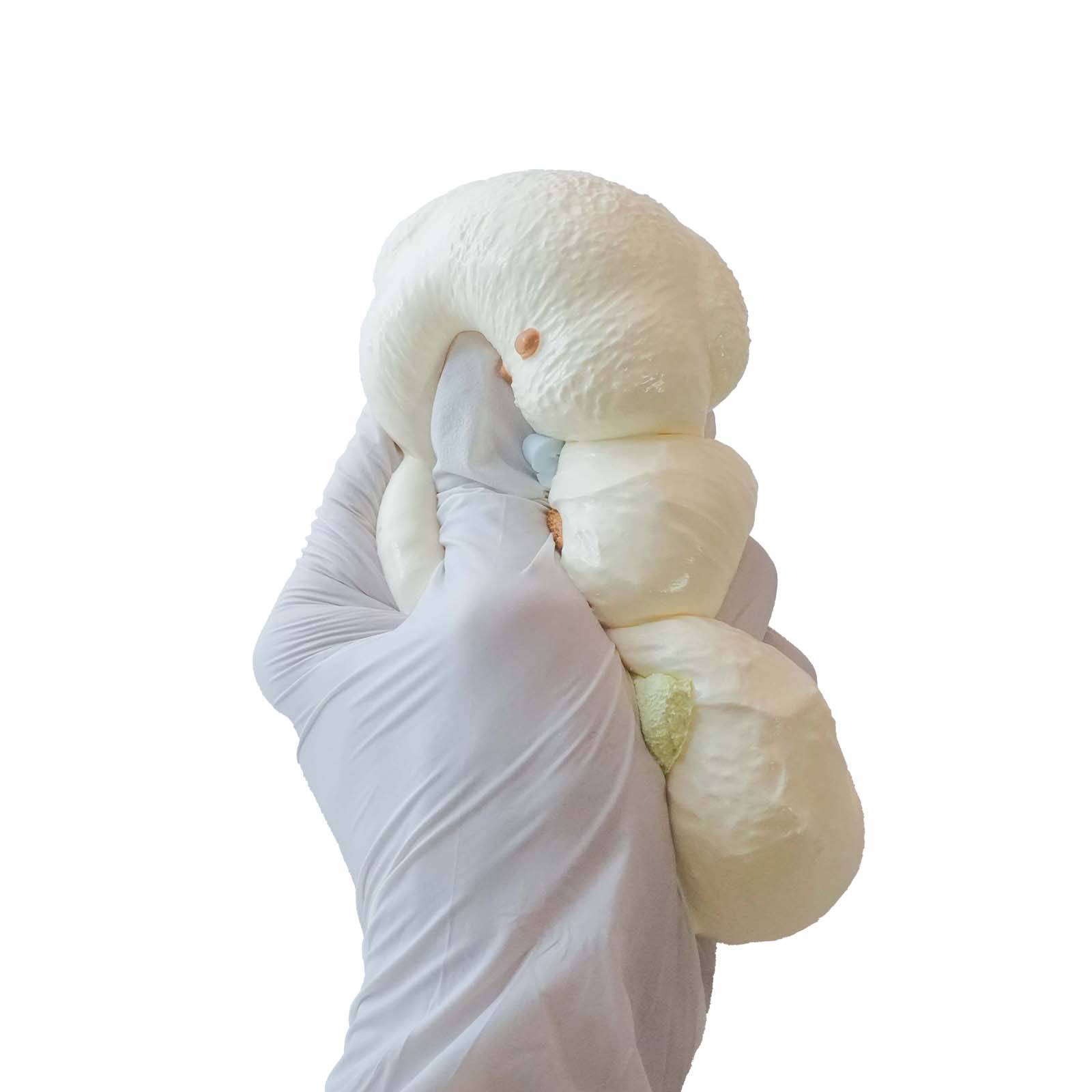 Snowball puppy Taba Squishy