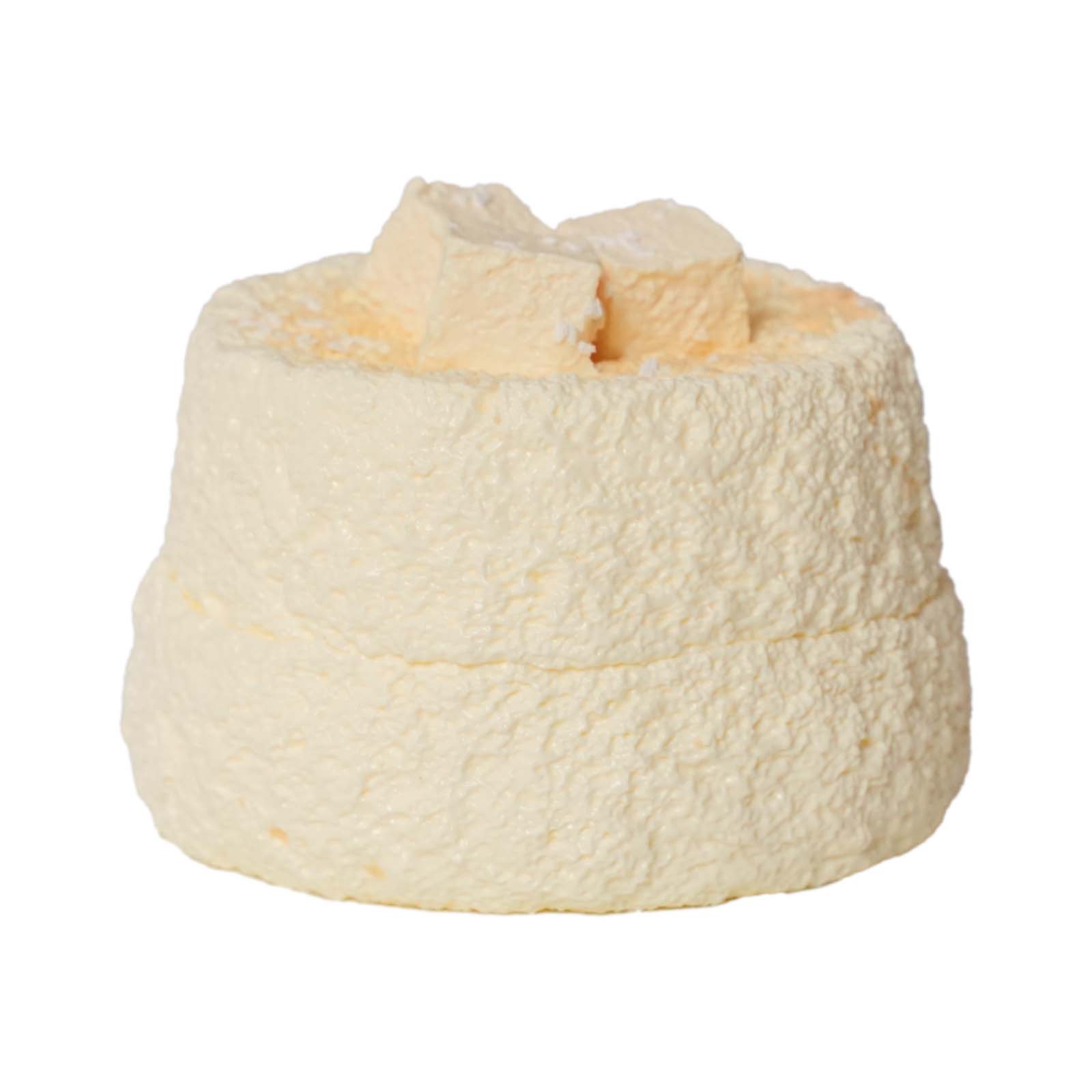 Coconut Cube Toast Taba Squishy