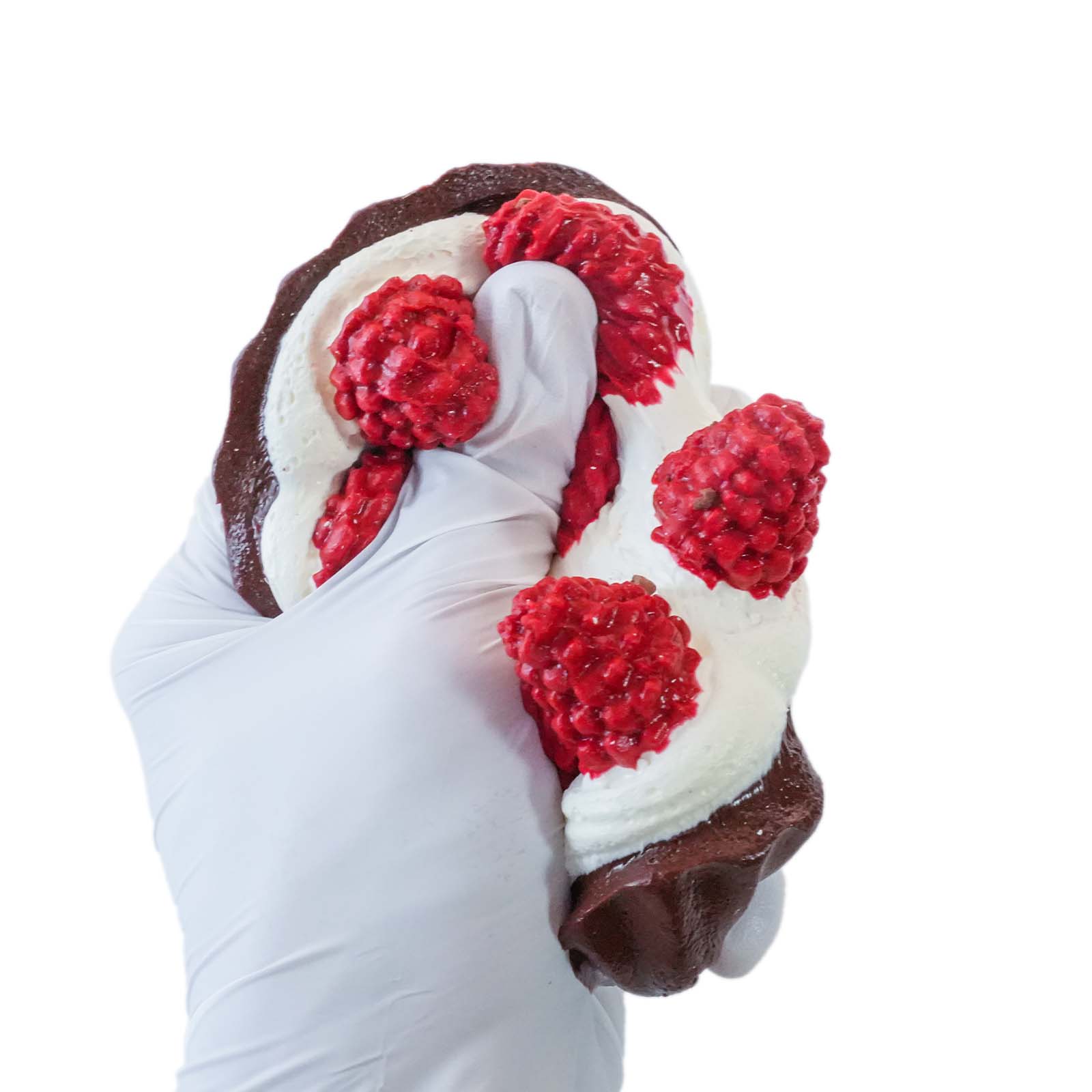 Raspberry Tart Taba Squishy