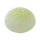 Matcha Daifuku Taba Squishy