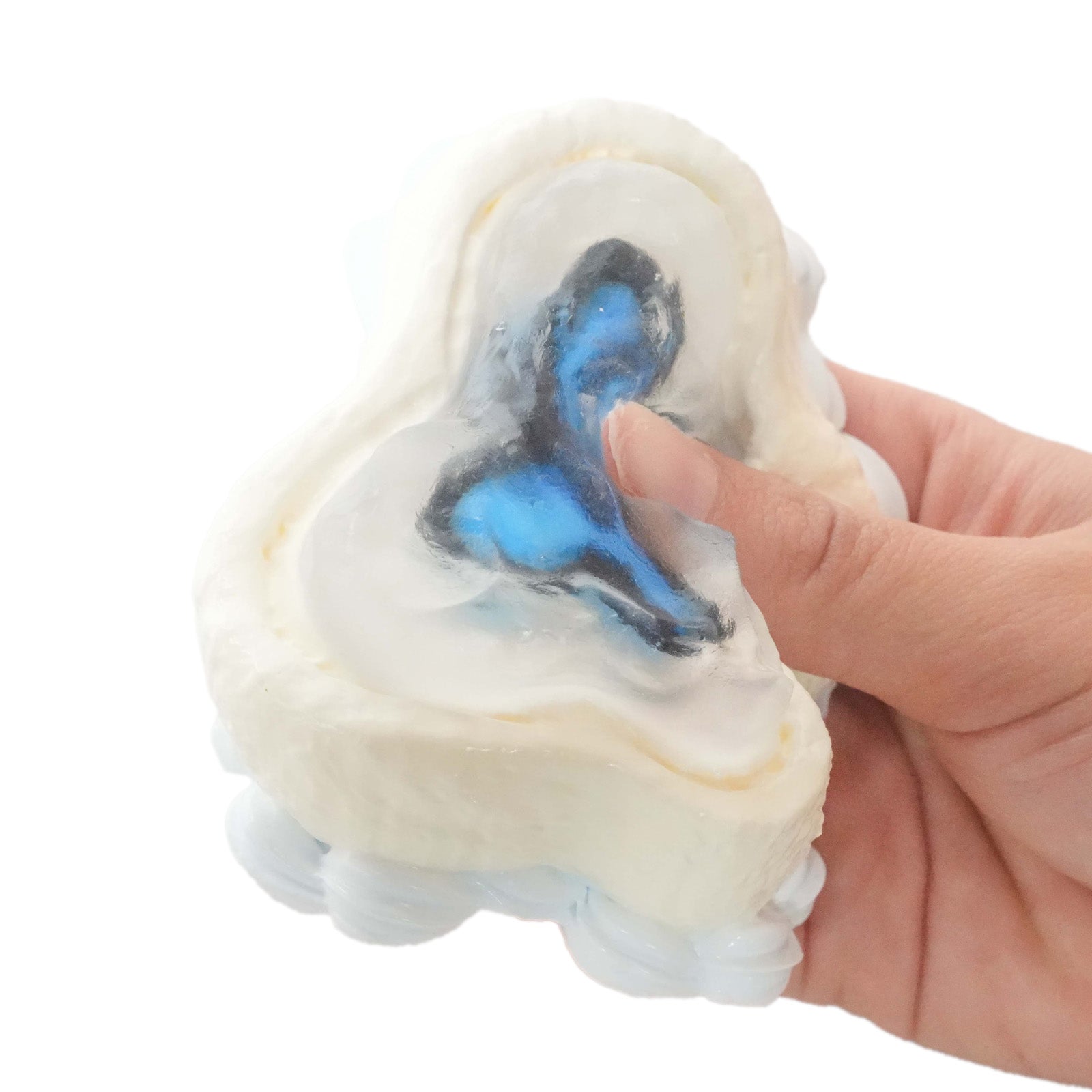 Transparent Butterfly Taba Squishy