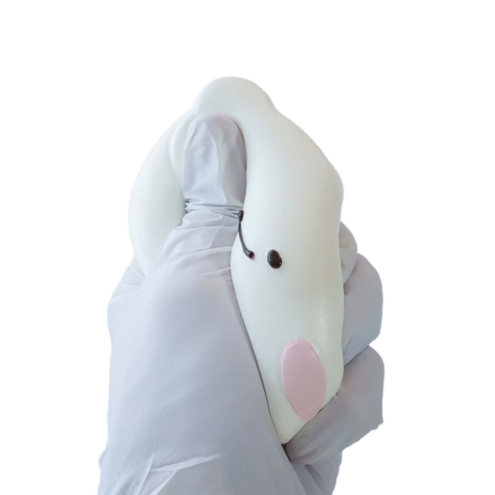 Naive white bear Taba Squishy