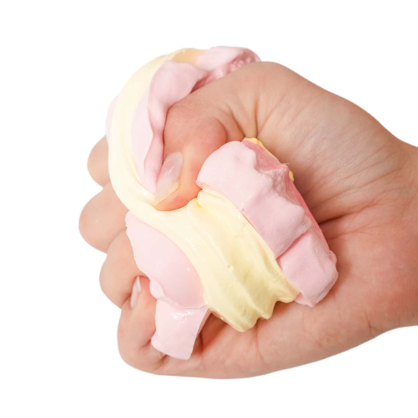 Sakura biscuits Taba Squishy