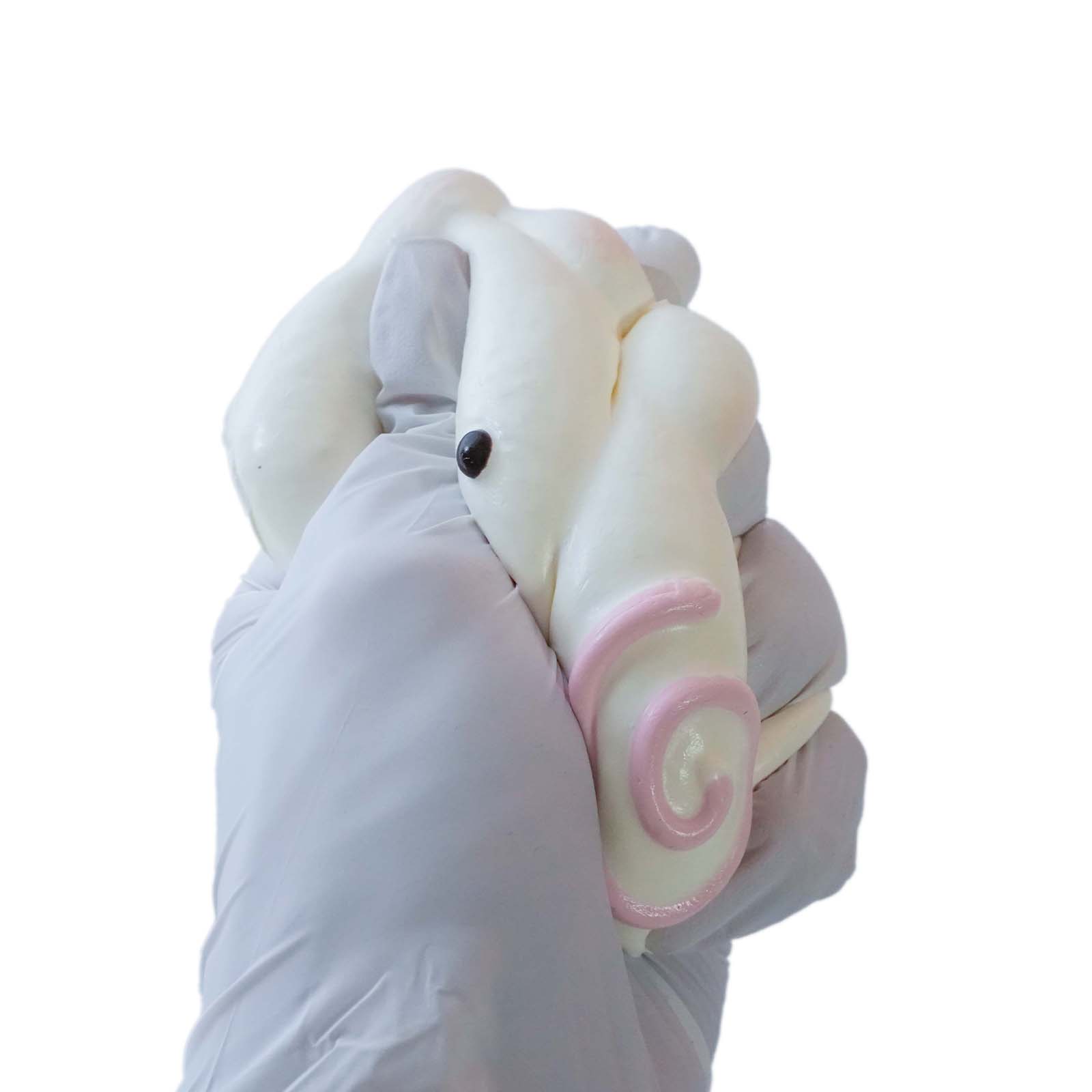 Swirl Bunny Taba Squishy
