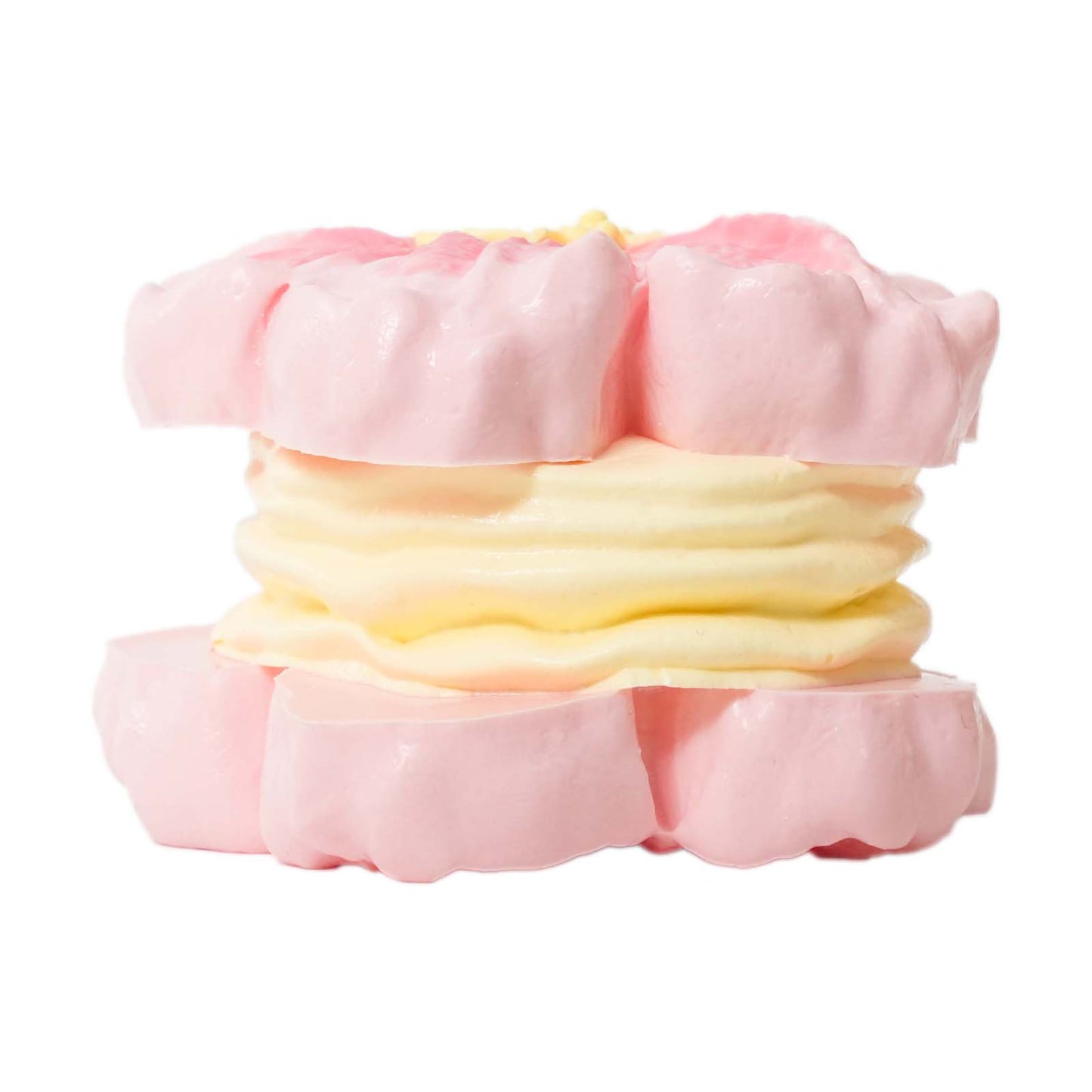 Sakura biscuits Taba Squishy