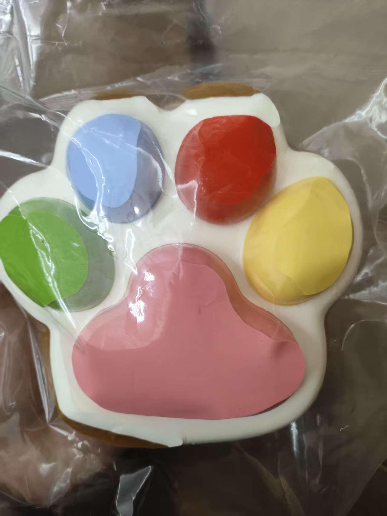 Big Cat Paw Taba Squishy