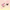 [Wenqing Strong]Moo Moo Paw Pops [No returns or exchanges once opened] Taba squishy