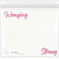 Wenqing Replacement Bags: 20 each of sizes 17*18