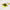 Greenapple cat Paws Taba Squishy
