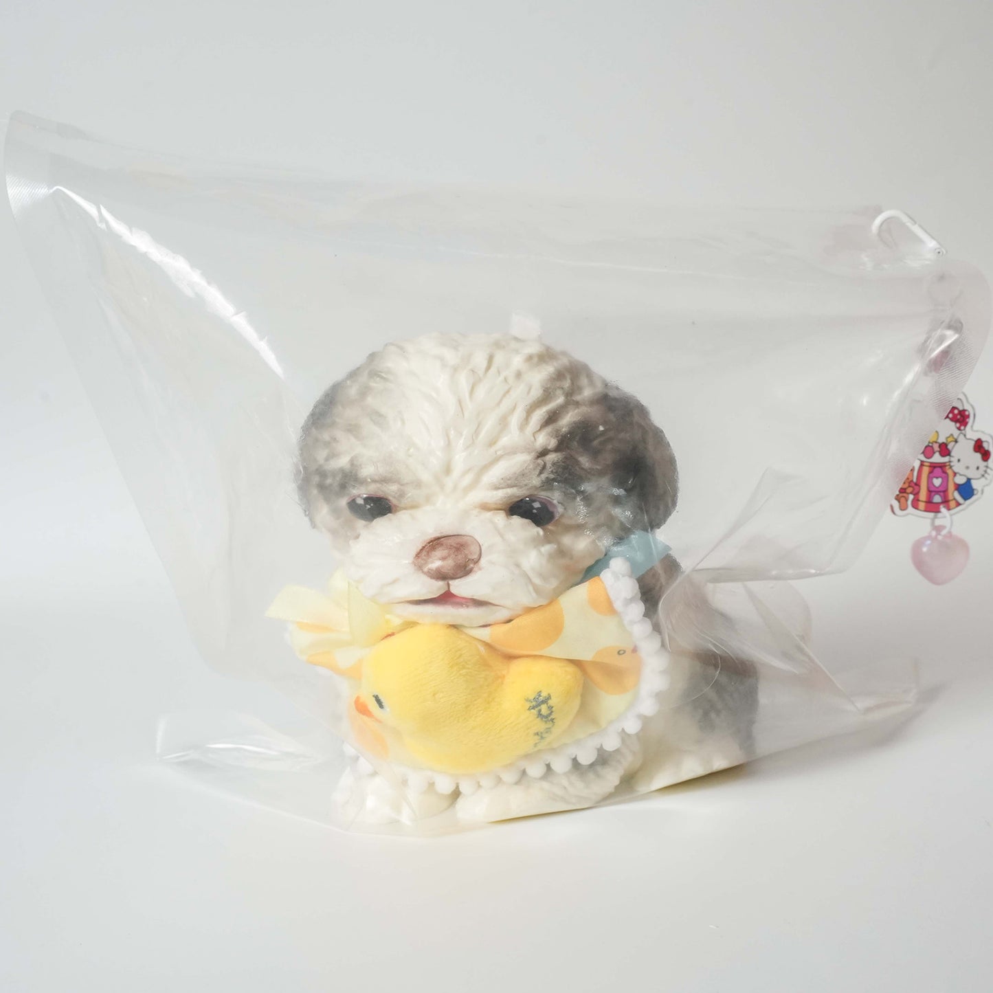 Teddy dog Taba Squishy