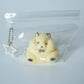 furry hamster Taba Squishy
